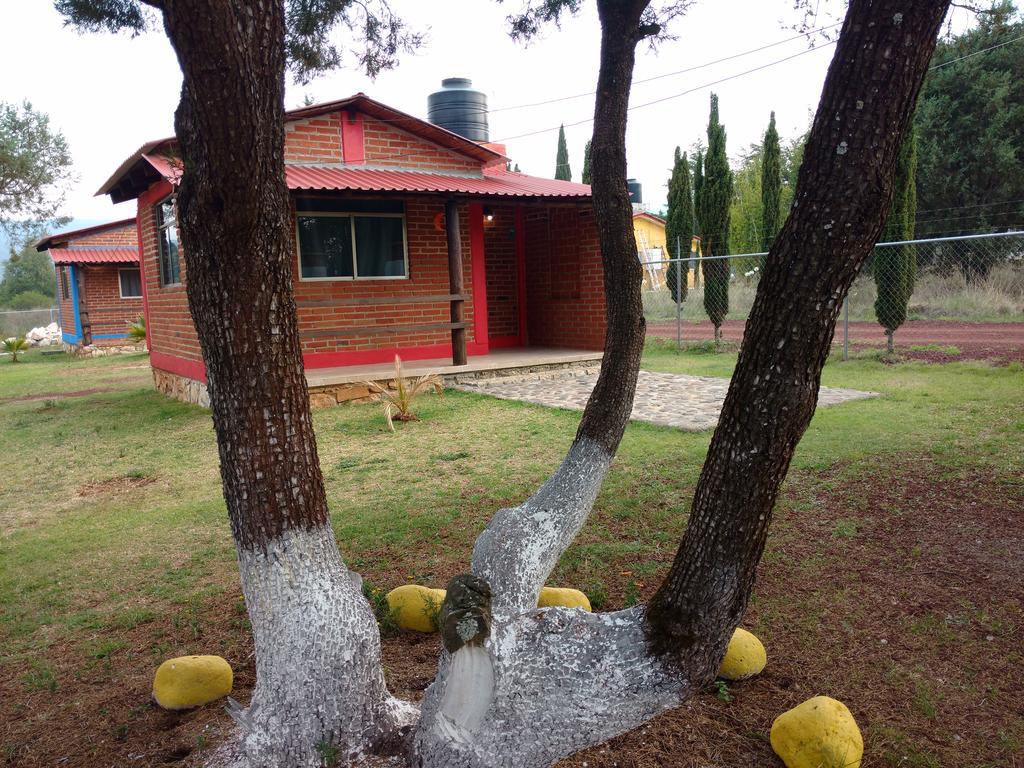 Cabanas Gotcha Huasca Huasca de Ocampo Exterior photo